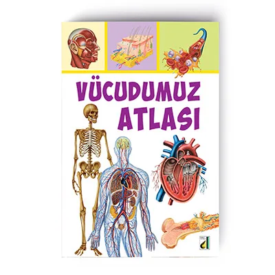 Vücudumuz Atlası — Damla Okul